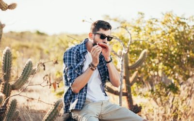 راهنمای خرید ساز دهنی و نکاتی که باید به آن توجه کنیم